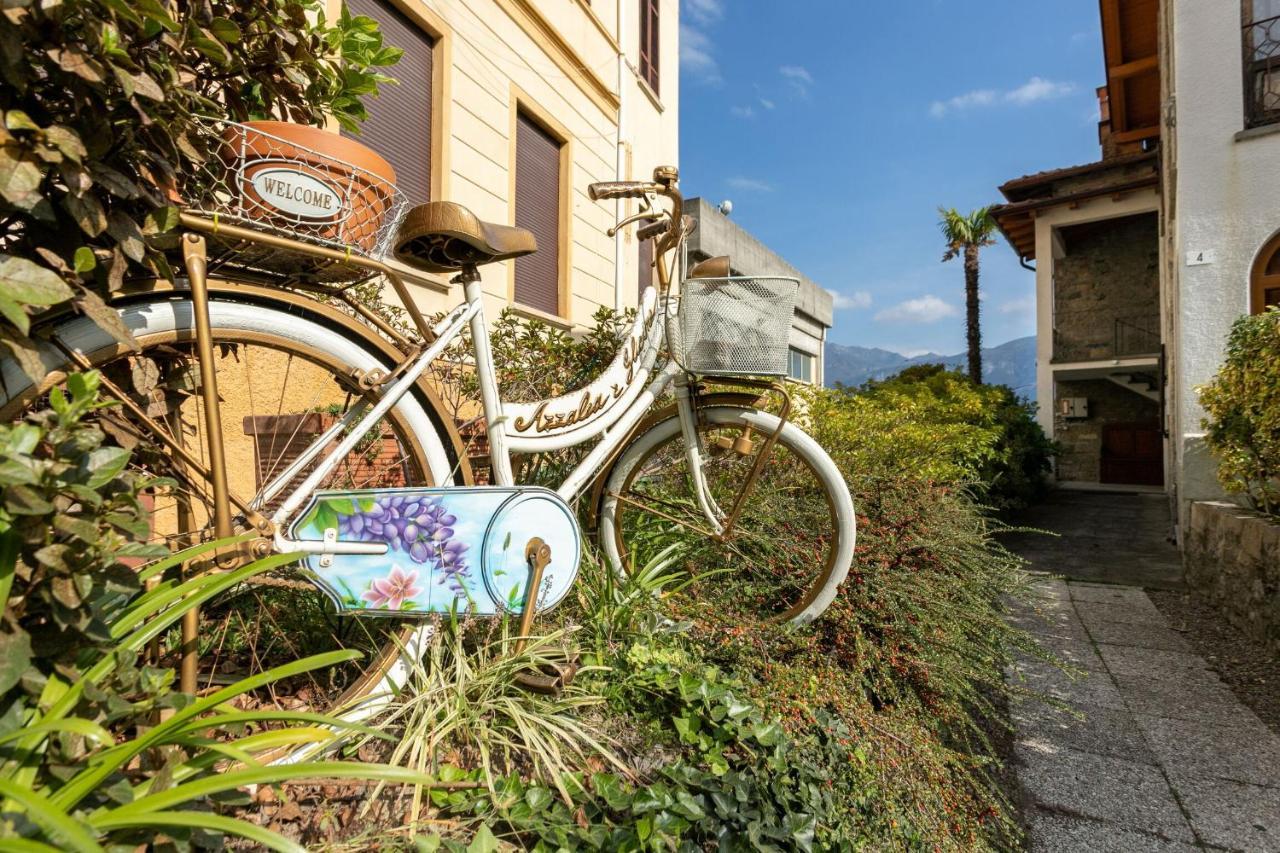 Residence Azalea&Glicine By Halldis Cadenabbia エクステリア 写真